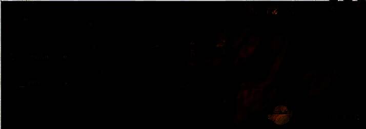 龙息神寂黑暗森林画面