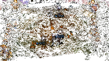 布隆实战效果动图