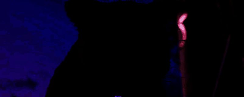 双影奇境游戏画面