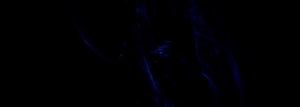 《星际征程》游戏画面截图3