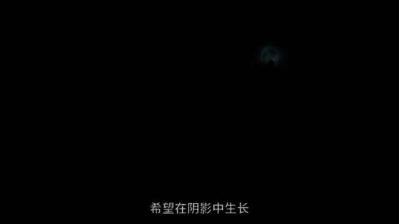 《刺客信条：影》相关宣传图片6