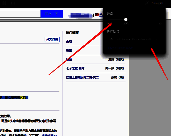 语音选项设置配图