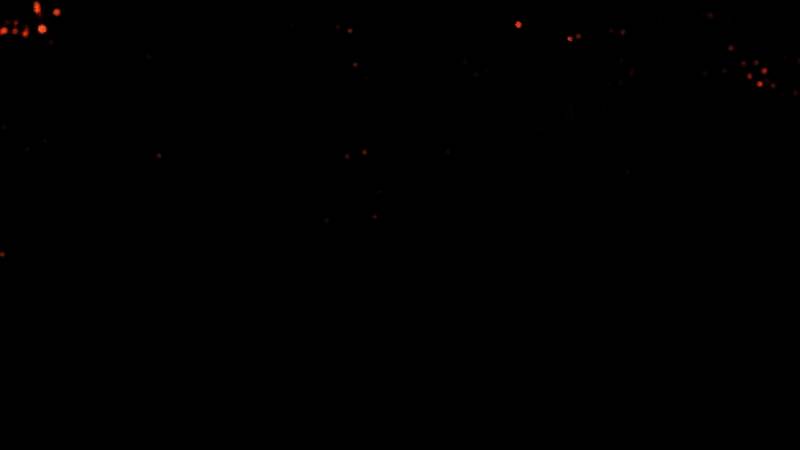 《最后的生还者3》相关新闻配图1