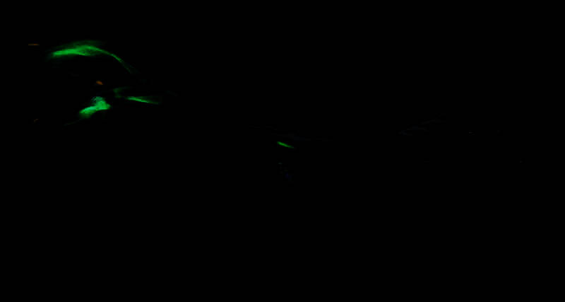 踏风行时装染色相关示意图片