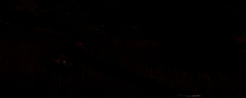 《怪物猎人:荒野》大剑相关画面