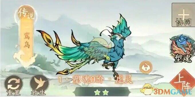 寻道大千鸾鸟培养相关图片