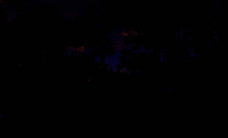 丛林守护者营地画面