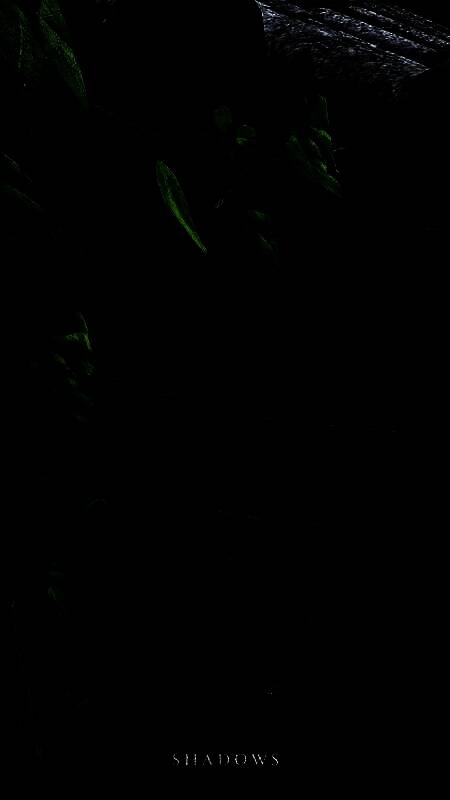 《刺客信条：影》手机壁纸1