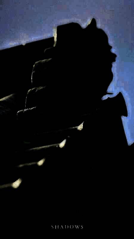 《刺客信条：影》手机壁纸2