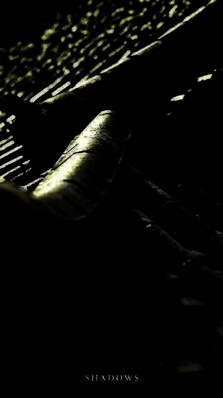 《刺客信条：影》手机壁纸4