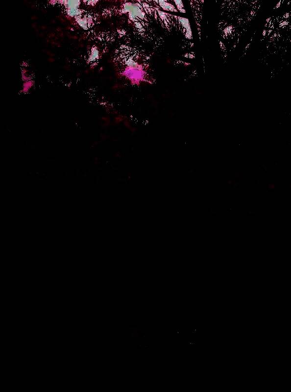 《刺客信条：影》手机壁纸9