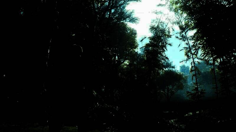 《刺客信条：影》电脑壁纸13