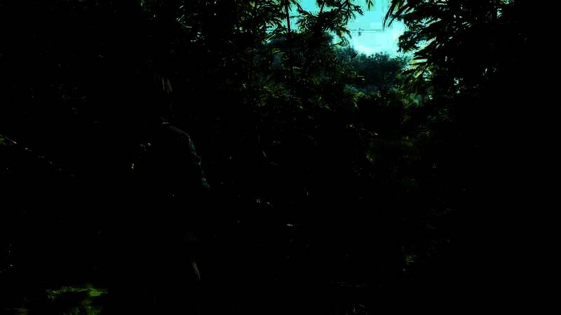 《刺客信条：影》电脑壁纸14