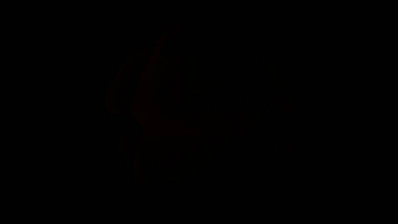 《inZOI》布丁狗玩偶家具使用教程画面