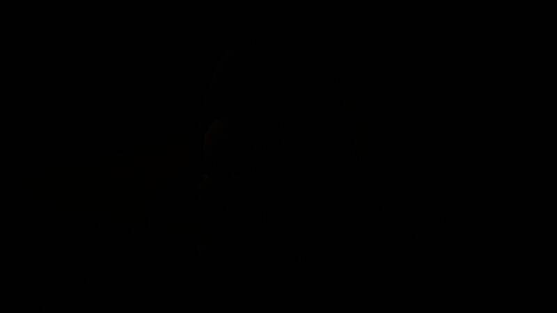 《inZOI》鲨鱼猫玩偶使用教程相关图片