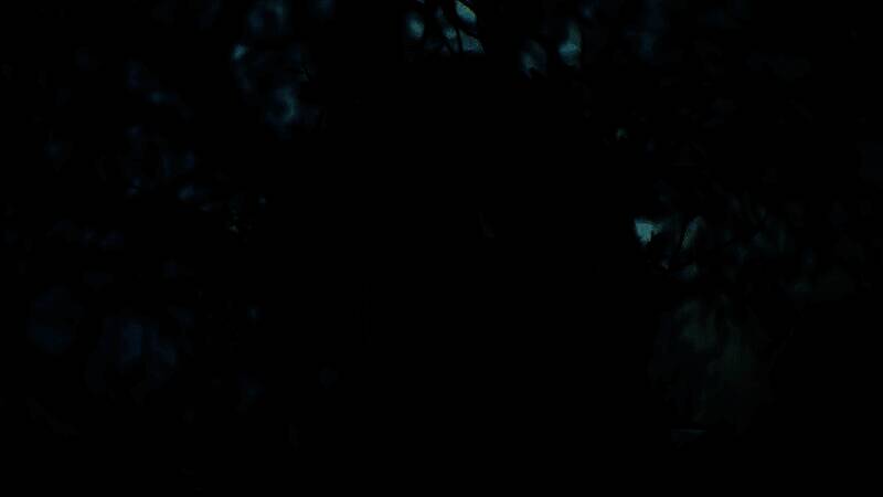 CDPR相关游戏画面或活动场景图片