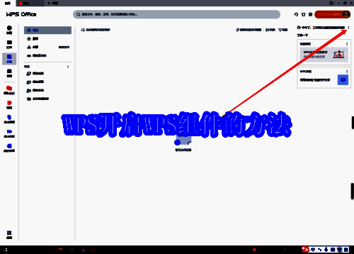 WPS 软件界面示例图