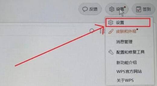 WPS设置菜单中的设置子选项