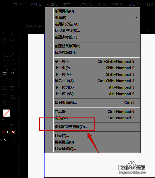 页码和章节选项设置相关图片