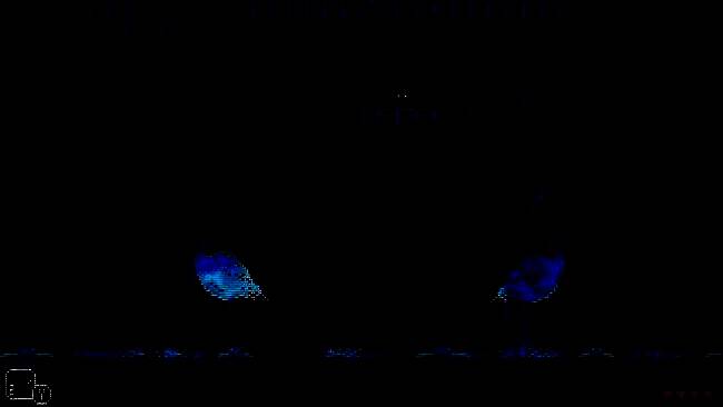 《动物井》相关图片3