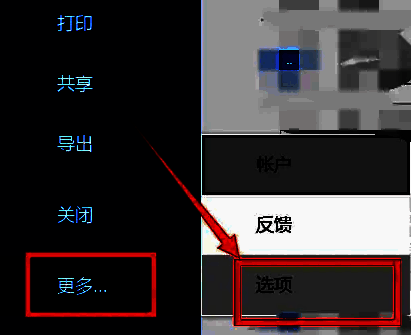 Word选择选项配图