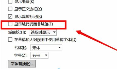 Word勾选显示域代码而非域值选项配图