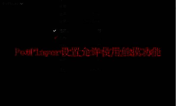 PotPlayer相关界面图1