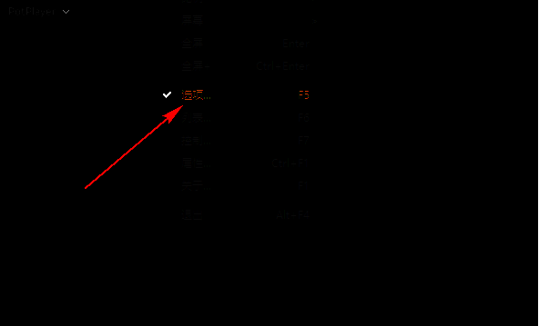 PotPlayer选项设置入口图