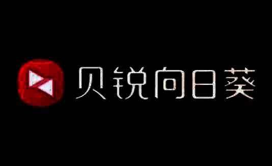 向日葵远程相关图片
