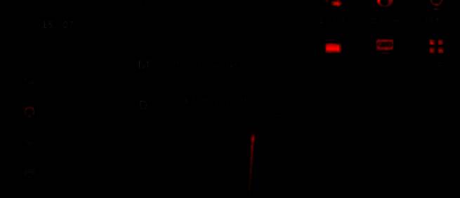 点击主机重启选项