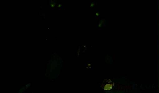 道具师相关配图