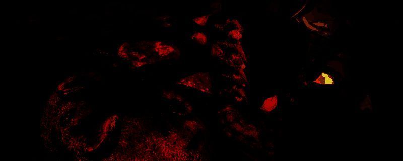 怪物猎人荒野猫饭食材相关图片1