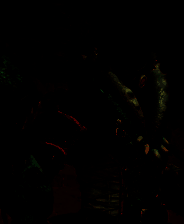 《怪物猎人:荒野》游戏相关图片1