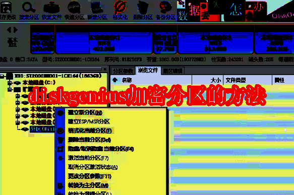 Diskgenius软件相关界面图