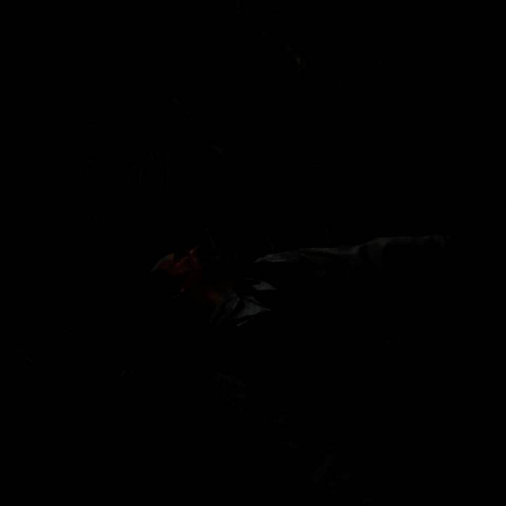 《荒野大镖客2》搞笑MOD画面