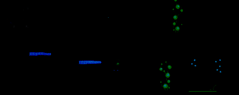 《史诗级NPC男子钓鱼的好日子》相关图片1