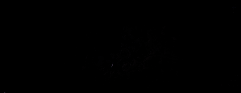 《刺客信条:影》传奇丹顶鹤位置相关图片2