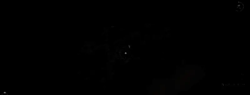 《刺客信条:影》传奇银狐刷新条件示意画面