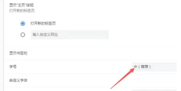 谷歌浏览器外观设置选项图
