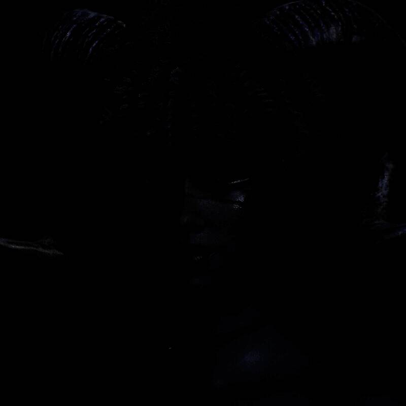 《inZOI》捏脸使用教程图片1