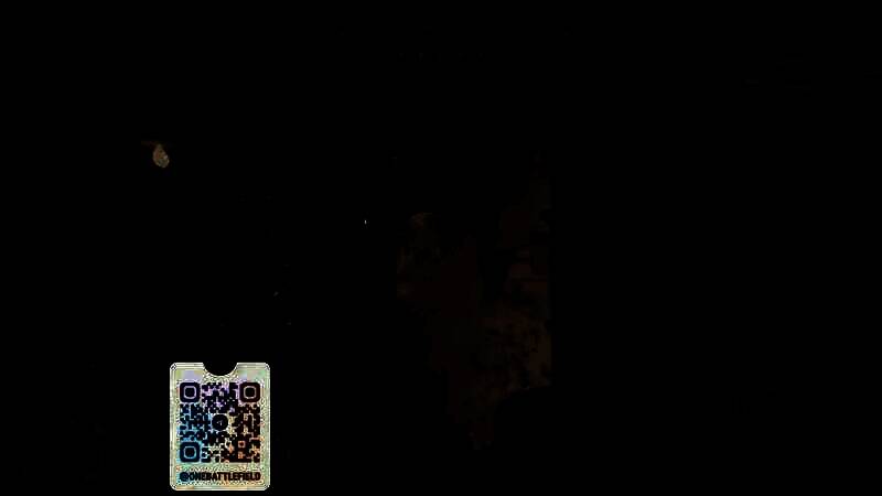 新《战地》视频画面 1