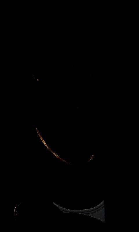 inZOI捏脸使用教程图1