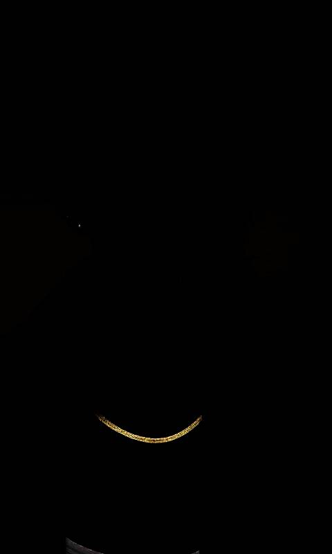 inZOI捏脸使用教程图3