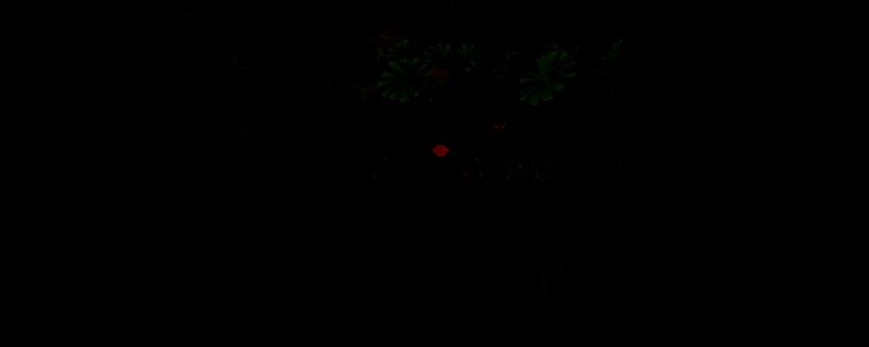 《Lost Rift》相关游戏画面