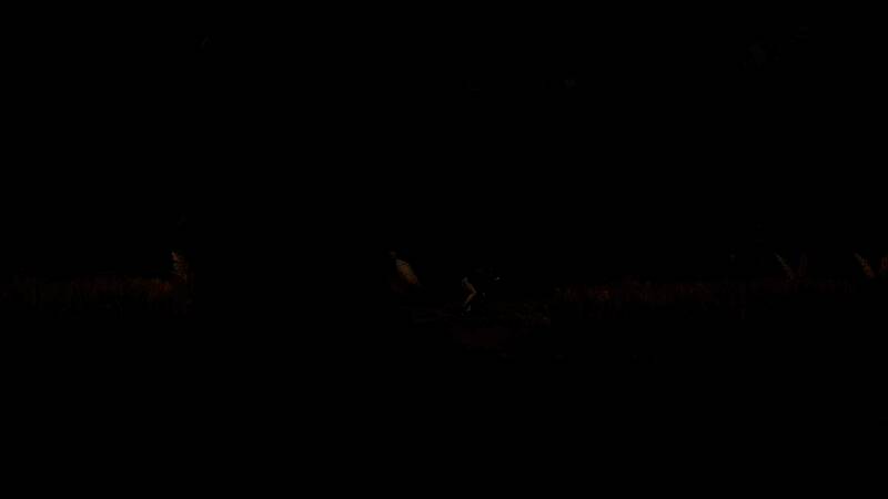 《明末:渊虚之羽》截图5