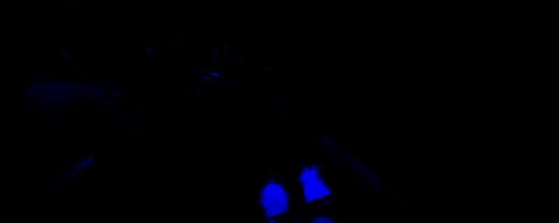 《雪橇手》游戏画面