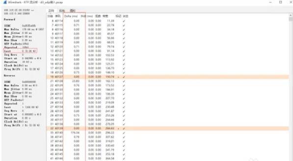 Wireshark解码为RTP协议操作界面