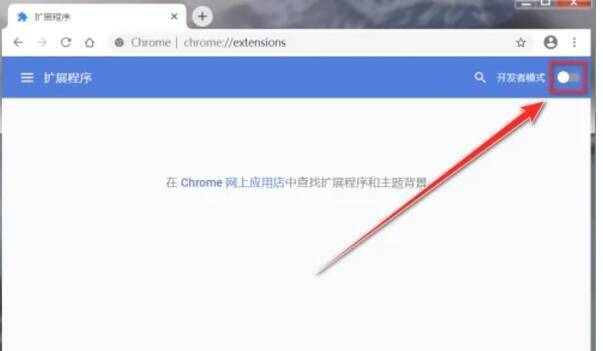 浏览器扩展栏带有e字图标的按钮界面