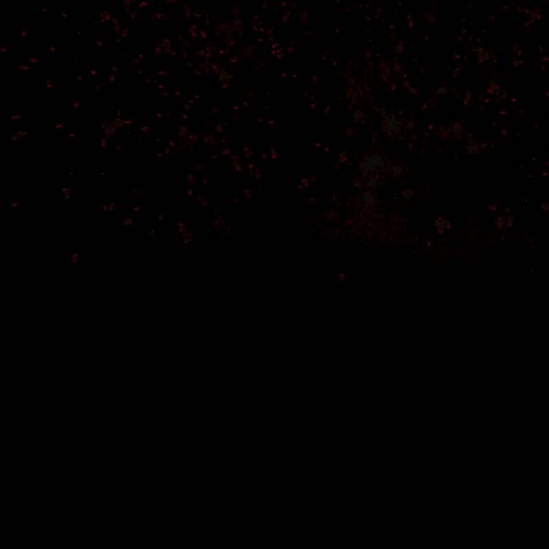 《明末:渊虚之羽》新截图中的场景一