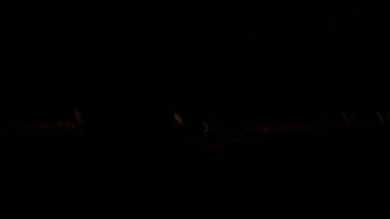 《明末:渊虚之羽》新截图中的场景八